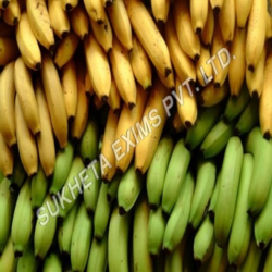 Manufacturers Exporters and Wholesale Suppliers of Yellow Fresh Banana Aurangabad Maharashtra